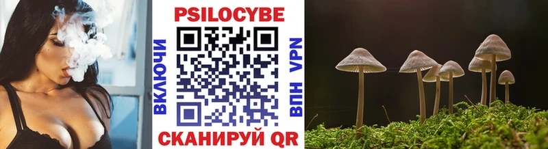 Псилоцибиновые грибы мицелий Дюртюли