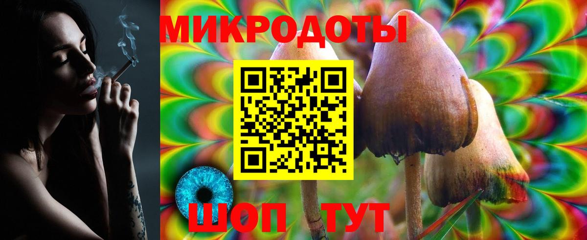 Галлюциногенные грибы Psilocybe  Псилоцибиновые грибы мицелий  Вход с VPN  Дюртюли 